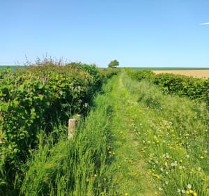 La boucle des champs depuis Saint-Aubert - Saint-Aubert - 2
