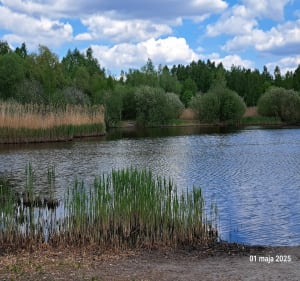 WOKÓŁ LOTNISKA - Artur - 2