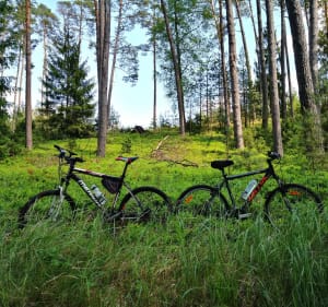 Trasa rowerowa Męcikał - Jezioro Wielkie Gacno - 2