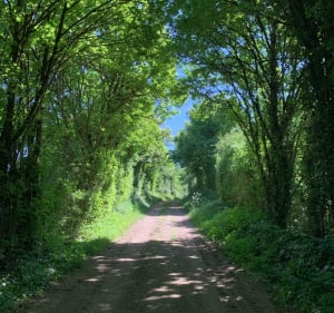 Saint Gelais mi chemin et route de campagne - Audrey - 4