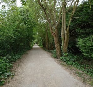 Voie verte Roncq - Roncq - 2
