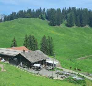 Pointe de Beauregard en boucle depuis Azureva - La Clusaz - 5
