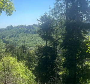 Balade entre forêt et rochers à La Petite Pierre - Lauriane - 3