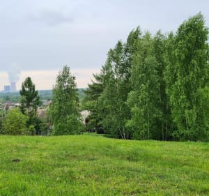 Łąki Bielana, wzgórze Bielana - Anna - 2