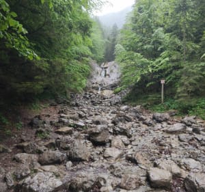 Ścieżka nad reglami, od Kalatowki doliny bialego - Zakopane - 2