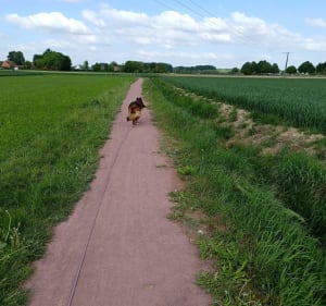 Marche 9,5kms en pleine nature à  Norrent Fontes. - Norrent-Fontes - 2
