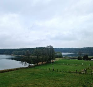 12km po kaszubskich lasach i polach dookoła jeziora - Węsiory - 2