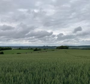 Trail des Hobbits - La Comté - 2