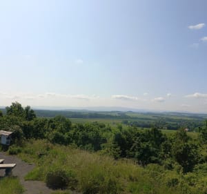Wielki las lubański - Lubań - 2