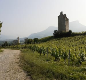 Les Tours de Chignin par les vignes - Montmélian - 2
