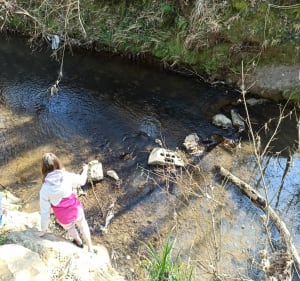 Forêt, traversée de rivière et GR au milieu des champs! - La Salvetat-Saint-Gilles - 2