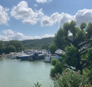 Bords du Rhône aux Roches de Condrieu - Saint-Clair-du-Rhône - 2
