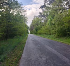 Bieganie i spacer - Przecław - 2
