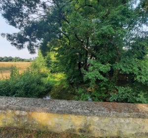 Parcours en nature dans Courbillac - Evelyne - 3