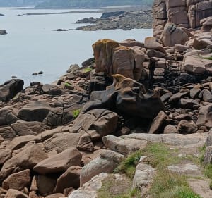 Côte de Granit Rose - Perros-Guirec - 2
