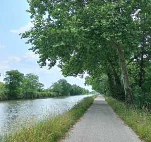 Saint-Jory à Castelnau-d'Estrétefonds par le canal latéral - Saint-Jory - 2