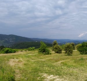 Balade entre Châteauneuf et Donzère par le Fourfouillet - Octave - 3