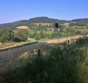 Sainte Agathe en Donzy balades entre champs et forêts - Sainte-Agathe-en-Donzy - 2