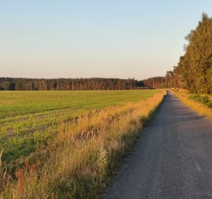 Płaskie szutry z asfaltowym finiszem - Polkowice - 2