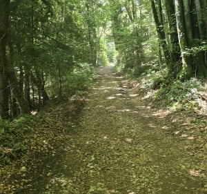 Serrière en Chautagne - Clergeon - Alexis - 2