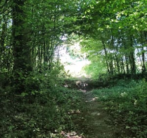 Boucle sur le plateau d'Arcey - Sainte-Marie - 2