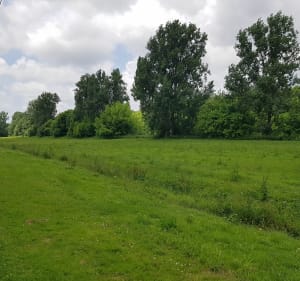 Le long de l'Adour depuis Dax - Dax - 5