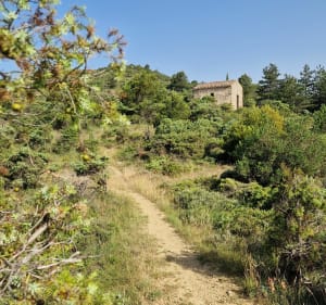 Autour du château de Villerouge-Termenès - Villerouge-Termenès - 2