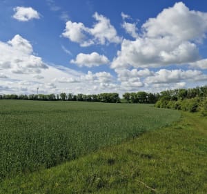 Kamień Tatarski - Nidzica - 2