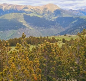 Pic de les Agudes de Vilallonga de Ter - Severine - 5