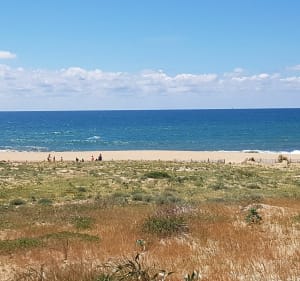 Balade entre lac et océan à Soorts-Hossegor - Doudou - 2