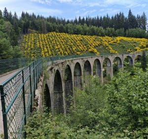 Balade sur les monts du Beaujolais et le Mont Saint-Rigaud - Deux-Grosnes - 2