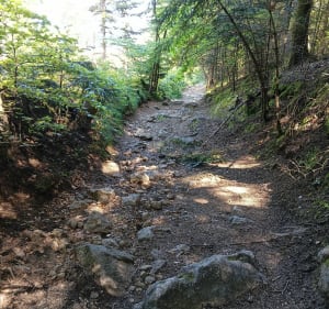 Balade sur le Haut Forez et col de Joanziecq - julien - 2