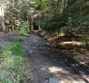 Balade sur le Haut Forez et col de Joanziecq - julien - 3