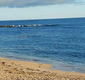 Batz en boucle - Batz-sur-Mer - 2