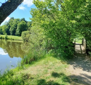 Petite balade à Montbert - Montbert - 2