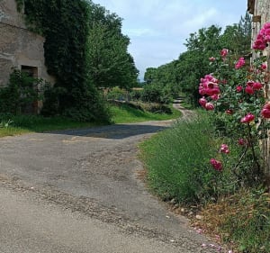 Super balade dans la Forêt de la Garrigue - Cazals - 2