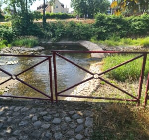 Objectif 40km Colmar - Colmar - 2