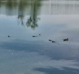 Promenade en famille - Manosque - 2