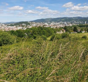 De Côte Chaude à St-Victor par le Perthuiset - Saint-Étienne - 2