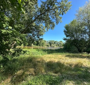 Panorama du bec d’Allier - Nevers - 2