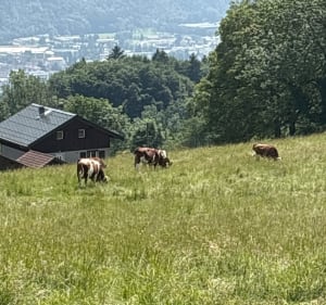 La balade du calvaire de Châtillon-sur-Cluses - Châtillon-sur-Cluses - 2