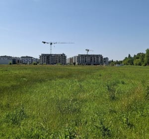 Brudnowski Flow - Warszawa - 2