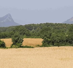 Balade Jacou en passant par Buzygnargues - Jacou - 2