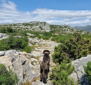 Boucle autour d'Opoul-Périllos - Eric - 3