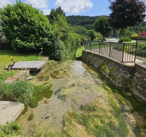 Fontaine sous Préaux Source Le Robec - Fontaine-sous-Préaux - 2