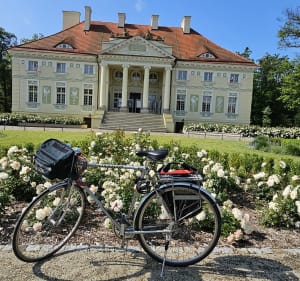 Piaski Szczygliczki Michałków Lewków - Ostrów Wielkopolski - 2