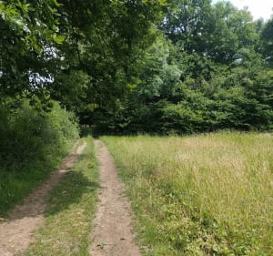 Saint-Aubin-le-Guichard, voies communales et chemins, par la Soudière - Mesnil-en-Ouche - 2