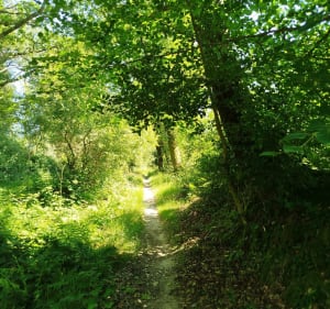 Autour du bourg de Ploudiry - Ploudiry - 2