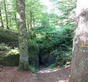 Crêt Monniot entre pâturages et forêts - Arc-sous-Cicon - 2