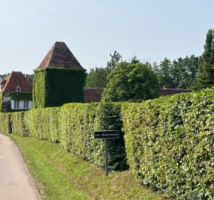 Petite rando VTT à la cool - Auxerre - 2